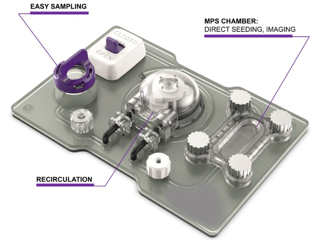 Organ-on-a-chip cartridge with oxygenation & cell seeding chambers